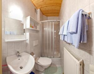 a bathroom with a toilet and a sink and a shower at Hotel Twengerhof in Tweng