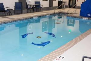 uma piscina com peixe na água em Holiday inn Express & Suites Oklahoma City Southeast, an IHG Hotel em Oklahoma City