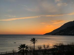 a sunset over the ocean with a palm tree at B&B Palazzo Montesanto in Maiori