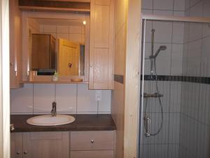W łazience znajduje się umywalka i prysznic. w obiekcie Le Chant du Coq w mieście Bief-des-Maisons
