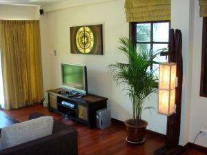 a living room with a television and a potted plant at Sunset Apartment Phuket in Patong Beach