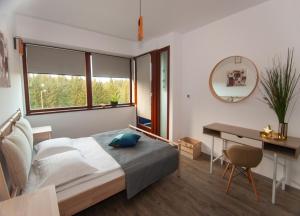 波亚纳布拉索夫Silver Mountain B12的卧室里有一张床、一张书桌和一面镜子