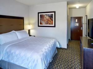 Habitación de hotel con cama grande y TV en Holiday Inn West Yellowstone, an IHG Hotel en West Yellowstone