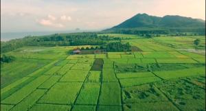une vue aérienne sur un champ vert avec des montagnes en arrière-plan dans l'établissement Namm Natawn, à Ko Yao Noi
