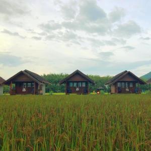 einer Gruppe von Hütten auf einem Grasfeld in der Unterkunft Namm Natawn in Ko Yao Noi