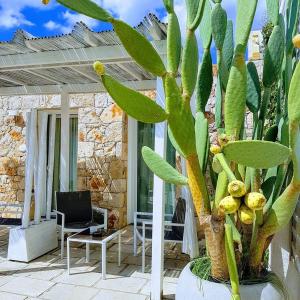 La Giara Resort في توري سان جيوفاني أوغينتو: نبات أخضر كبير في وعاء على الفناء