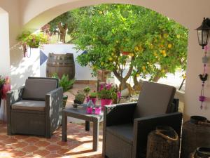 a patio with two chairs and a table and a tree at B&B Finca la Manchica in Cartagena
