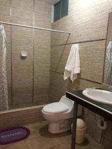 Tambo Lodge Canta في كانتا: حمام مع دش ومرحاض ومغسلة