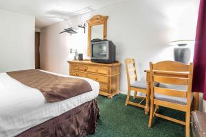 - une chambre avec un lit, une télévision et une chaise dans l'établissement Rodeway Inn Bryce Canyon, à Panguitch