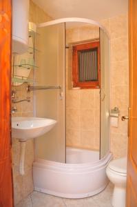 a bathroom with a shower and a sink and a toilet at Apartmani Miletic Kopaonik in Kopaonik +65 photos