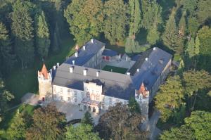 an aerial view of a castle in the forest at Chateau Herálec Boutique Hotel & Spa by L'Occitane in Herálec