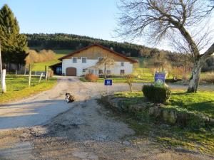 a dog sitting on a road in front of a house at La ferme du bonheur in Pierrefontaine-les-Varans