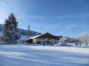 a snow covered field with a house and a tree at La ferme du bonheur in Pierrefontaine-les-Varans