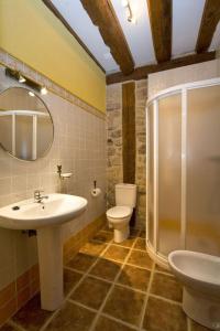 een badkamer met een wastafel, een toilet en een douche bij Los Trashumantes in Molinos de Duero