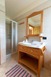 a bathroom with a sink and a shower at Casa Sofia in Valdisotto