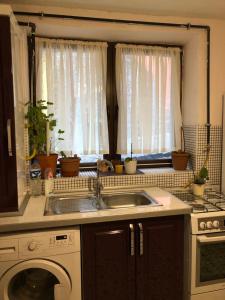 a kitchen with a sink and a window with potted plants at Mavi Ladin Konukevi in Kars