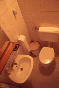 a bathroom with a white toilet and a sink at Apartments Gregorc in Bled