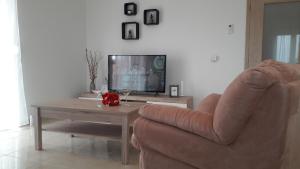 Televízia a/alebo spoločenská miestnosť v ubytovaní Holiday Home Luka