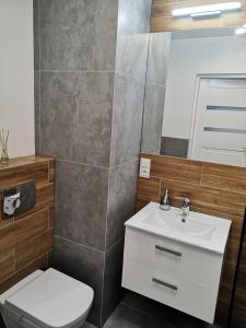 a bathroom with a toilet and a sink and a mirror at Apartamenty Piano in Świeradów-Zdrój