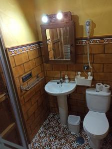a bathroom with a toilet and a sink and a mirror at Las 4 Lunas in Zahara de la Sierra