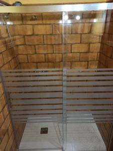 サアラ・デ・ラ・シエラにあるLas 4 Lunasのガラスドア付きのシャワーが備わります。
