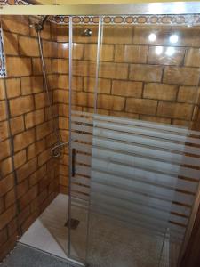 a shower with a glass door in a bathroom at Las 4 Lunas in Zahara de la Sierra