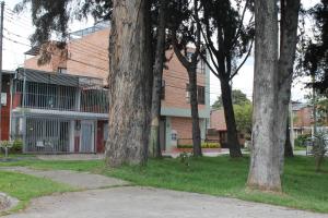 un grupo de árboles frente a un edificio en Casa Posada Amelia, en Bogotá