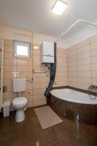a bathroom with a toilet and a bath tub at Apartman NIVA Daruvar in Daruvar
