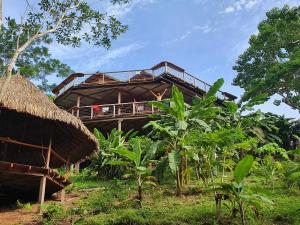 a building with a deck in the middle of a forest at Hostal Doble Vista in Capurganá