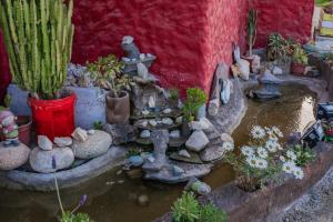 a model of a garden with cacti and plants at Cabañas Maihue in La Serena