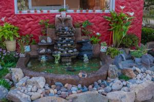 a small pond with a fountain in a garden at Cabañas Maihue in La Serena