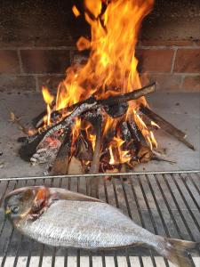 a fish sitting on a grill with a fire at Cro Behar 2 Apartments in Sveti Petar