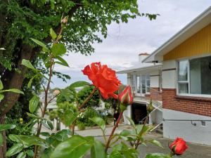 Giardino di Hello Seaview! 4 BRs House in Central Location!