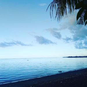 a beach with a palm tree and the ocean w obiekcie Lilacita Beach Lovina w mieście Lovina