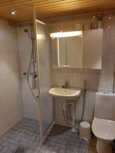 een badkamer met douche, wastafel en toilet bij Pankkotupa 65 "13А" in Savonlinna