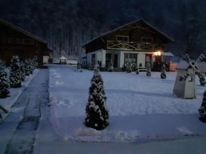 U Druziv iarna +75 fotografii