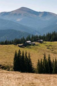 a field with houses and trees and a mountain at Kreitser in Lazeshchyna