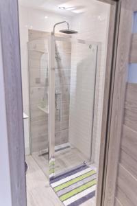 La salle de bains est pourvue d'une douche avec une porte en verre. dans l'établissement Asia, à Nysa