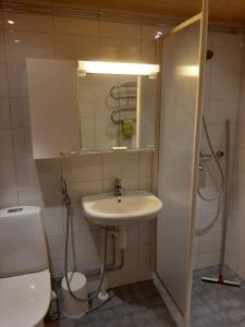 een badkamer met een wastafel, een toilet en een spiegel bij Pankkotupa 66 "13B" in Savonlinna