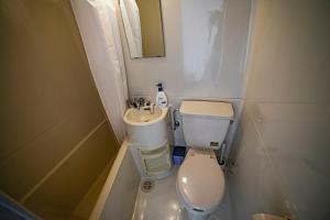 a small bathroom with a toilet and a sink at Hakuba Matata Lodge in Hakuba