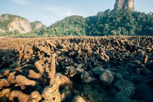 a large group of rocks in front of a mountain at Railay Garden View Resort in Railay Beach