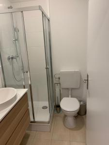 een badkamer met een douche, een toilet en een wastafel bij Appartement Höhscheid in Solingen