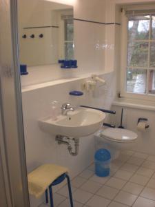 a bathroom with a sink and a toilet at Jan und Jana Ferienhaus in Ahrenshoop