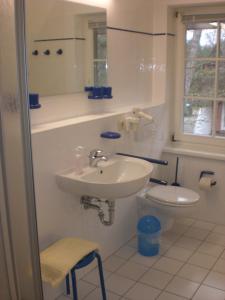 un bagno con lavandino e WC di Jan und Jana Ferienhaus a Ahrenshoop Altre 61 foto