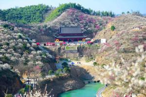 the country house周边自然景观