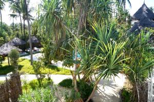 Gallery image of Laguna Palace Zanzibar in Michamvi