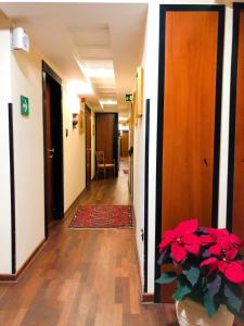Fotografie z fotogalerie ubytování Hotel Florio Operà Palermo Central v destinaci Palermo