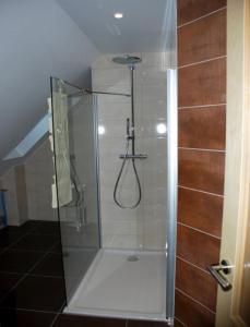 La salle de bains est pourvue d'une douche avec une porte en verre. dans l'établissement La Maison de Georges - Les Coquelicots, à Scharrachbergheim-Irmstett