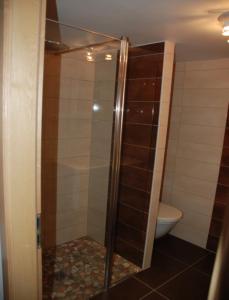 La salle de bains est pourvue d'une douche en verre et de toilettes. dans l'établissement La Maison de Georges - Les Coquelicots, à Scharrachbergheim-Irmstett