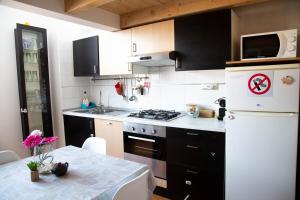 A kitchen or kitchenette at Porta Galliera Apartment